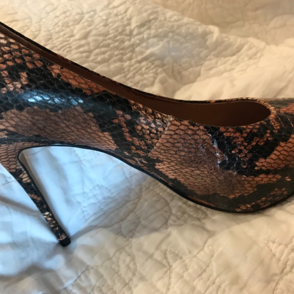 Dee Ocleppo Python Pumps - Picture 5 of 5